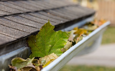 closeup-of-house-rain-gutter-clogged-with-colorful-leaves-falling-picture-id1189383491