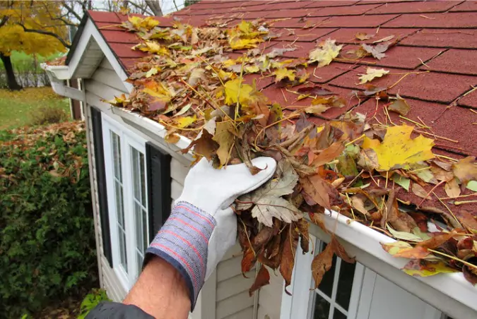 nature-home-maintenance-clearing-gutters