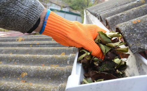 Gutter Cleaning Service East Peoria IL 