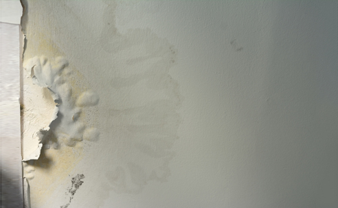 Water Damage East Peoria IL